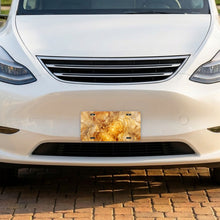Honeycomb Hexagon aluminum front license plate