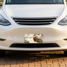Creation Of Adam aluminum front license plate