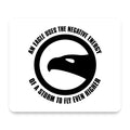 Eagle Uses Negative Energy to Fly Higher mouse pad, front view