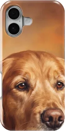 Phone Cases