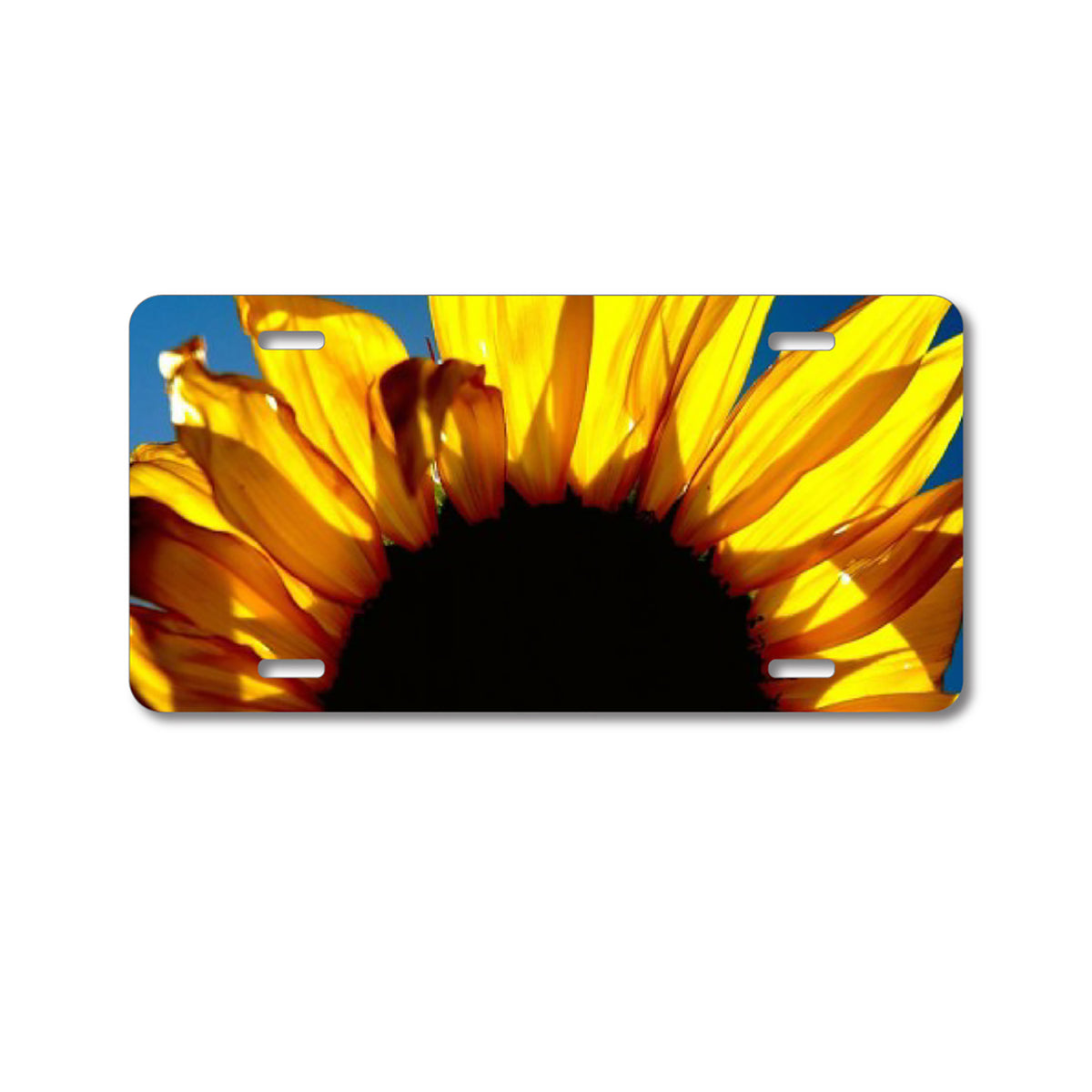 Custom Aluminum Decorative Vanity Front License Plate - Blue Yellow Sunflower Sky