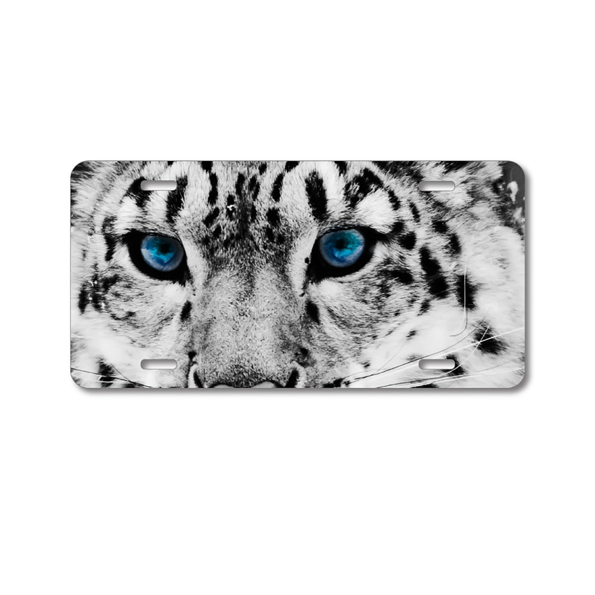 Custom Aluminum Decorative Vanity Front License Plate - Snow Leopard Blue Eyes