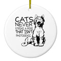 Cats Never Strike a Pose not Photogenic Ceramic Ornament