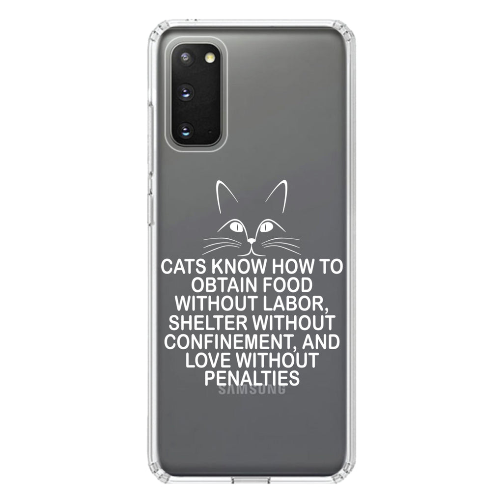 Cats Obtain Food without Labor Clear Shockproof iPhone Case, view 15