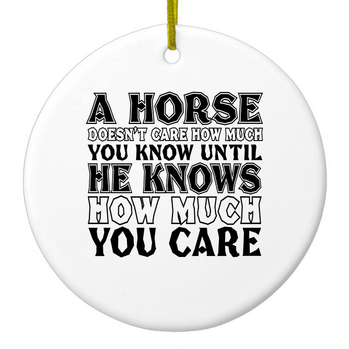 Horse Doesn't Care How Much You Know Ceramic Ornament