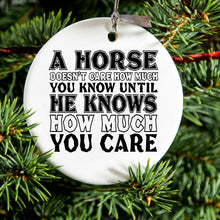 DistinctInk® Hanging Ceramic Christmas Tree Ornament with Gold String - Great Gift / Present - 2 3/4 inch Diameter - Horse Doesn't Care How Much You Know