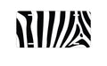 Custom Aluminum Decorative Vanity Front License Plate - Black & Clear Zebra Stripes