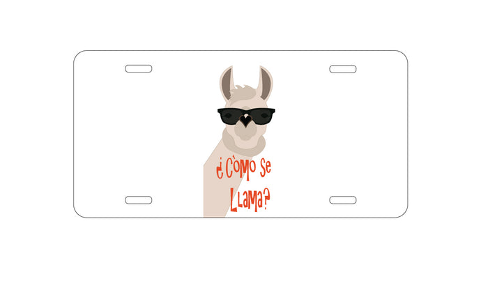 DistinctInk Custom Aluminum Decorative Vanity Front License Plate - Cómo se Llama?