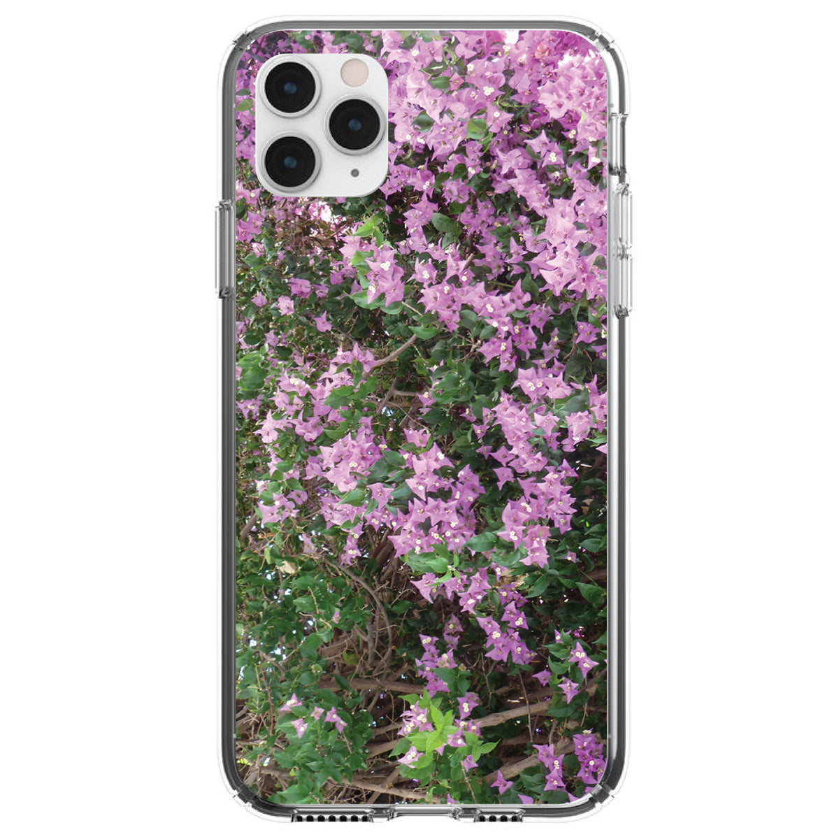 Purple Flowers Mykonos Greece Clear Shockproof iPhone Case