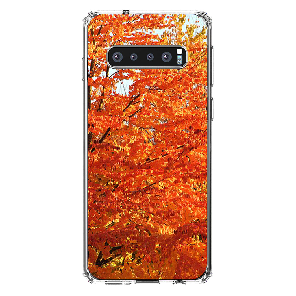 Orange Autumn Leaves Clear Shockproof iPhone Case, view 17