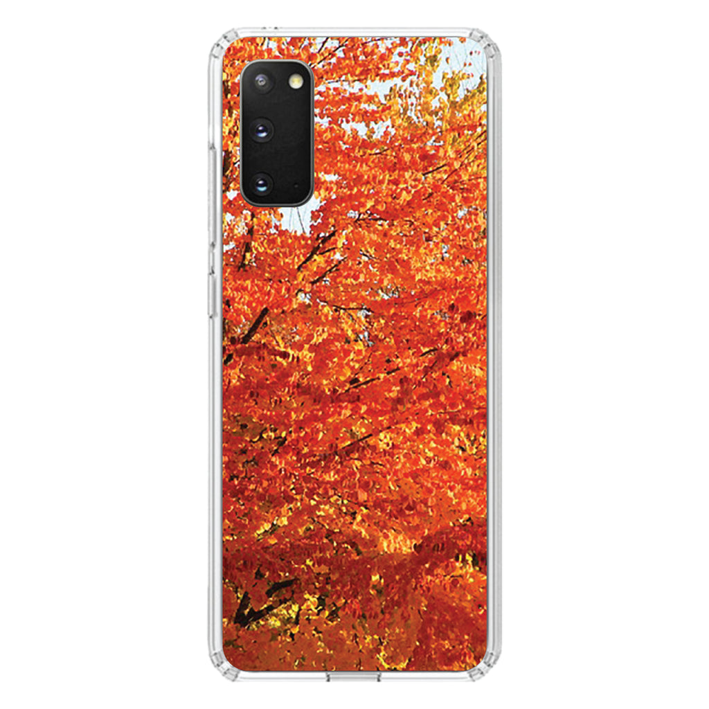 Orange Autumn Leaves Clear Shockproof iPhone Case, view 15