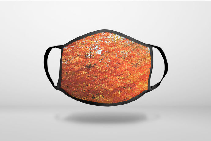 Orange Autumn Leaves - 3-Ply Reusable Soft Face Mask Covering, Unisex, Cotton Inner Layer