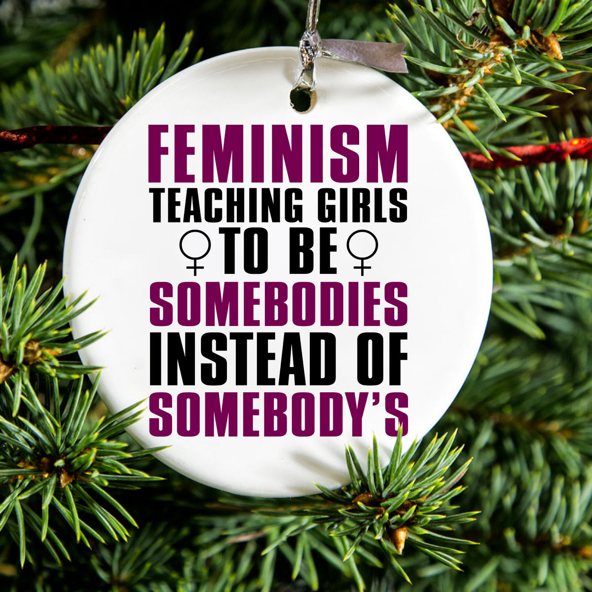 Somebodies vs Somebody's Ceramic Ornament, view 2